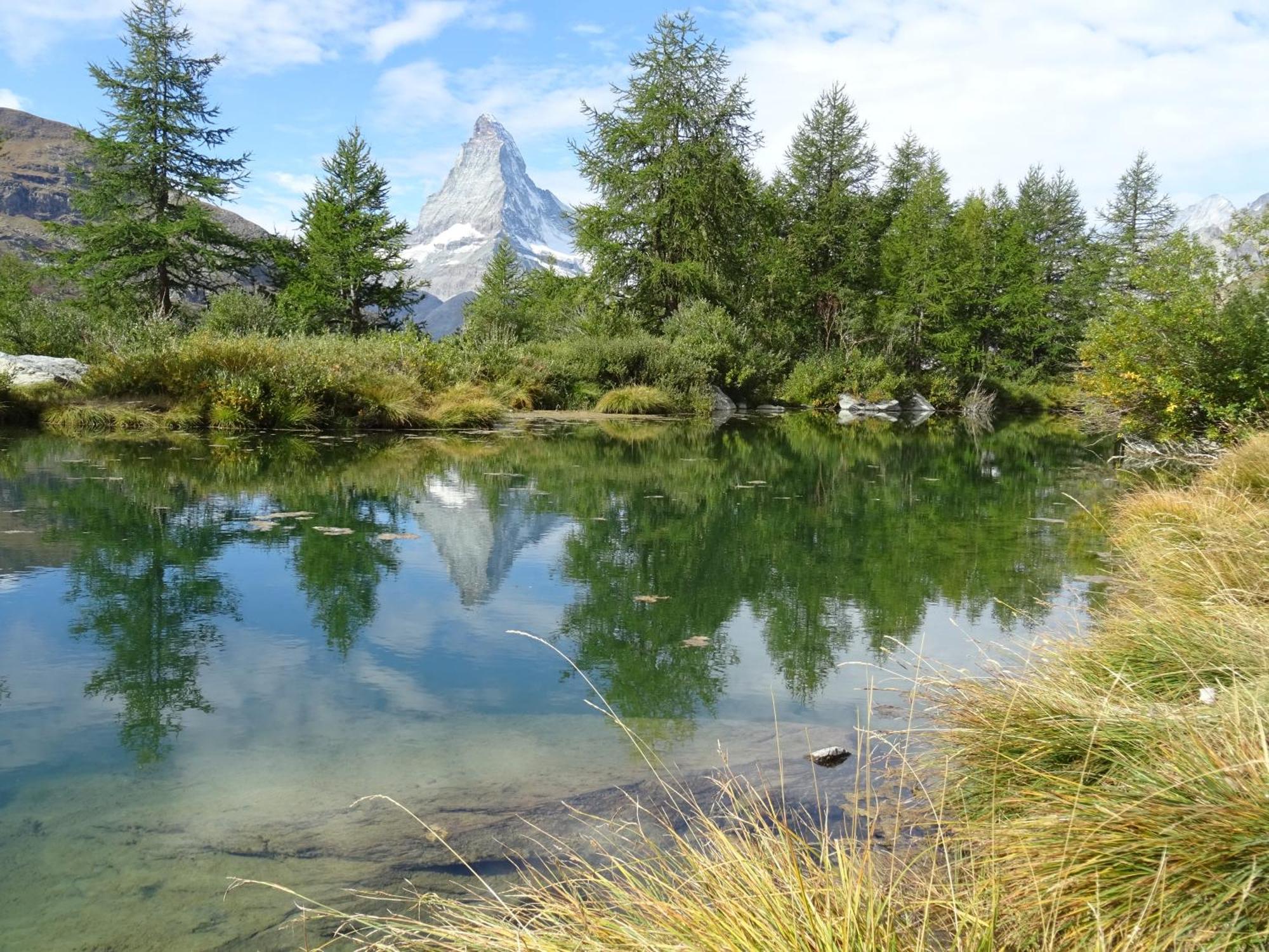 Hotel Phoenix Zermatt Exteriör bild